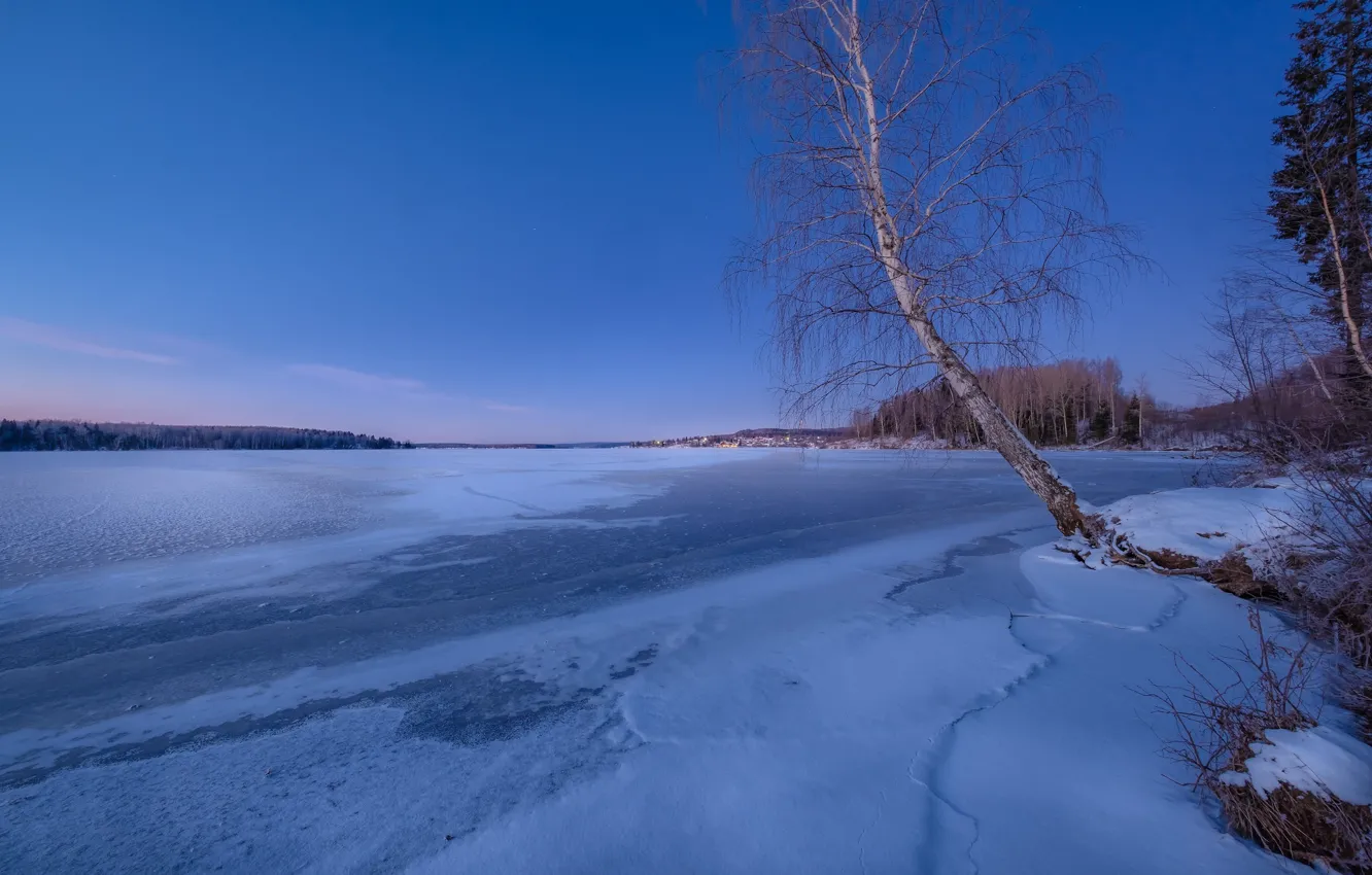 Photo wallpaper winter, forest, snow, trees, landscape, nature, river, morning