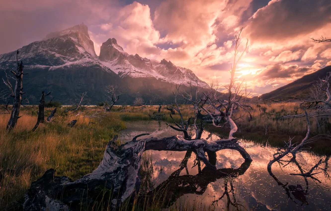 Photo wallpaper field, the sun, clouds, light, snow, trees, sunset, mountains