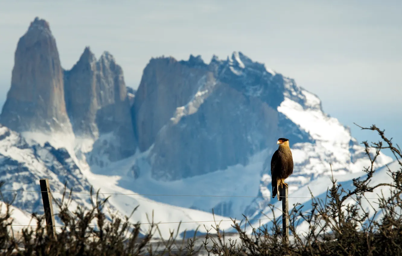 Photo wallpaper mountains, bird, the fence