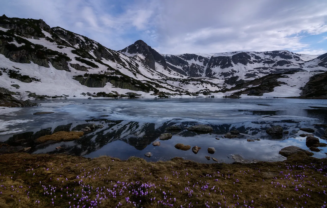 Photo wallpaper clouds, snow, flowers, mountains, Bulgaria, Rila, Rila national Park, Ribnoto lake