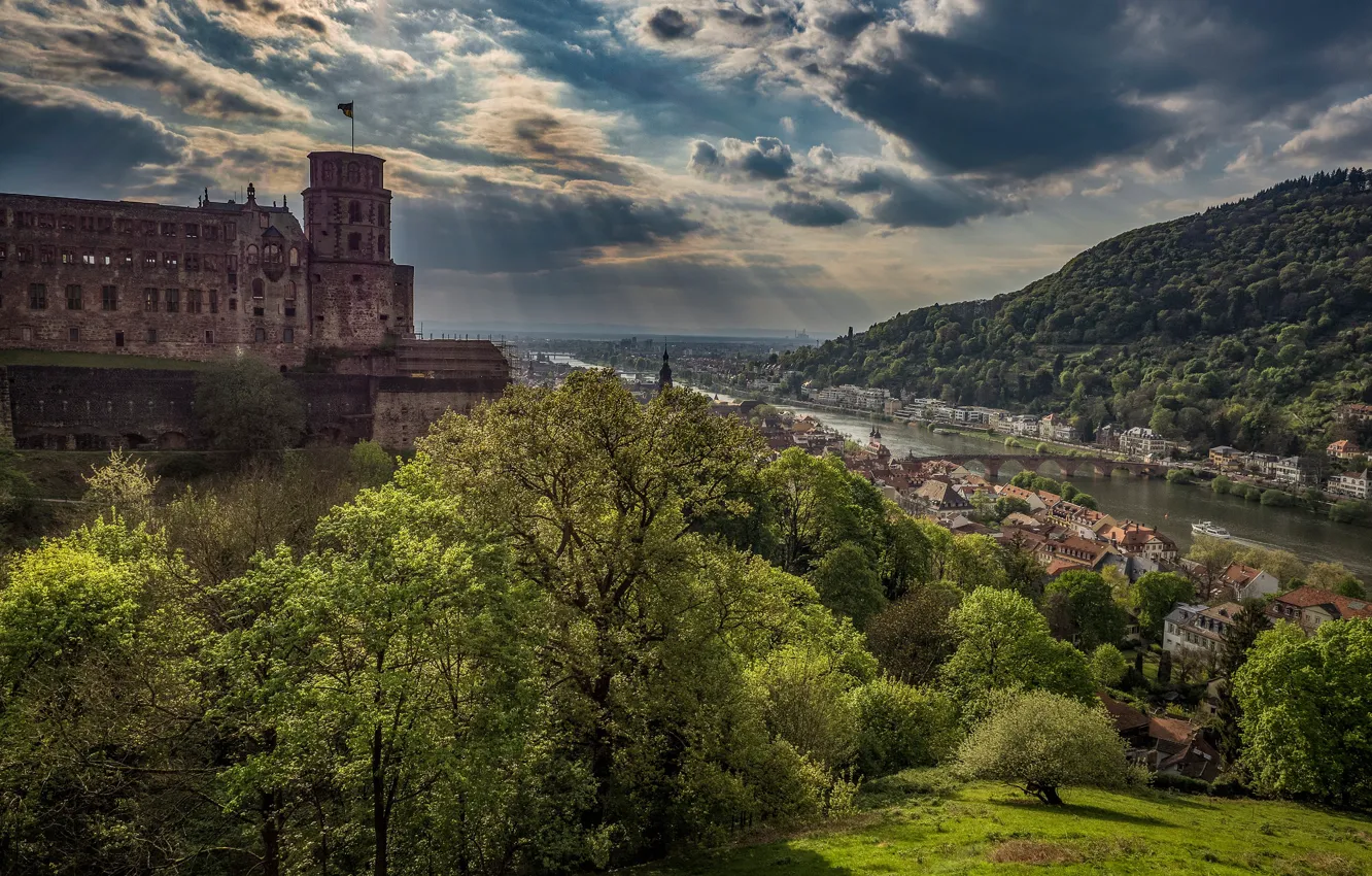 Photo wallpaper trees, bridge, river, castle, Germany, panorama, town, Germany