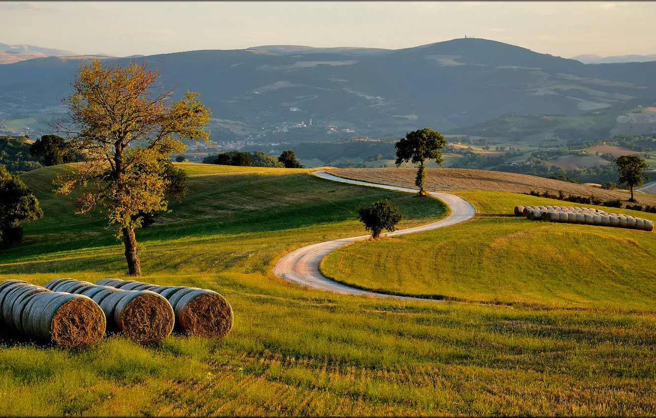 Photo wallpaper road, field, trees, hills, Italia