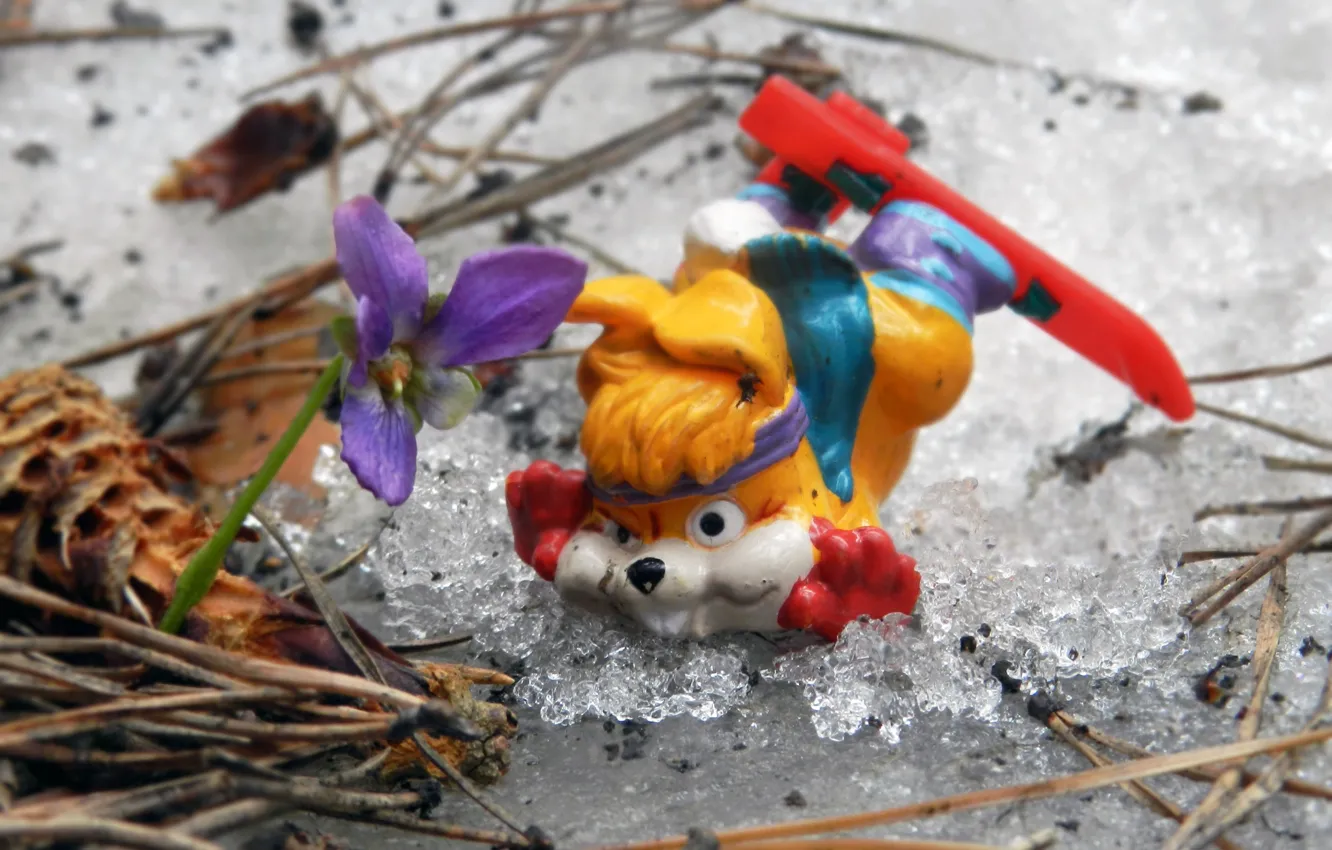 Photo wallpaper purple, snow, flowers, childhood, toy, ski, hare, surprise