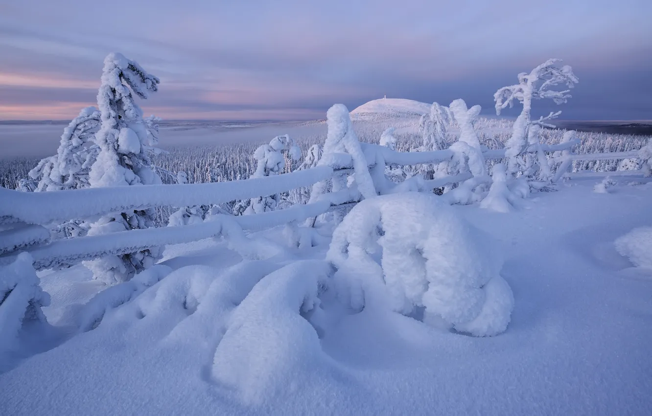 Photo wallpaper winter, snow, trees, the fence, the snow, Finland, Finland, In Kuusamo