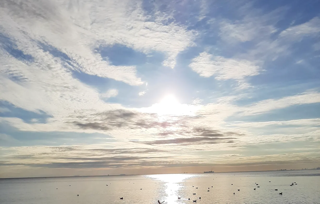 Photo wallpaper niebo, Sea, Sun, birds