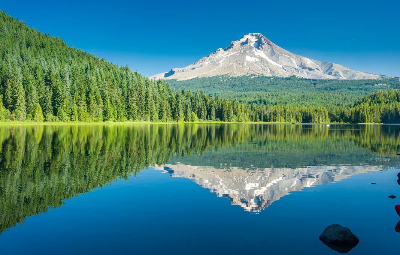 Photo wallpaper forest, the sky, trees, mountains, lake, reflection