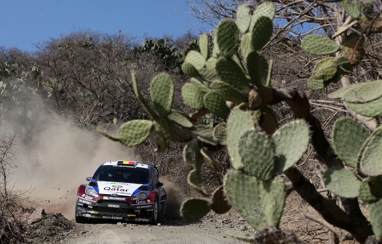 Photo wallpaper ford, Mexico, rally, wrc, fiesta, 2013, T. Neuville