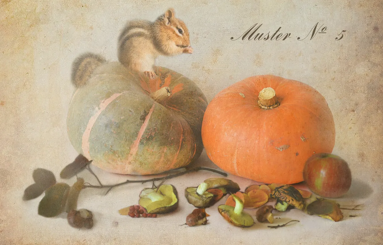 Photo wallpaper autumn, mushrooms, Apple, pumpkin, Chipmunk, boletus, Botanical album