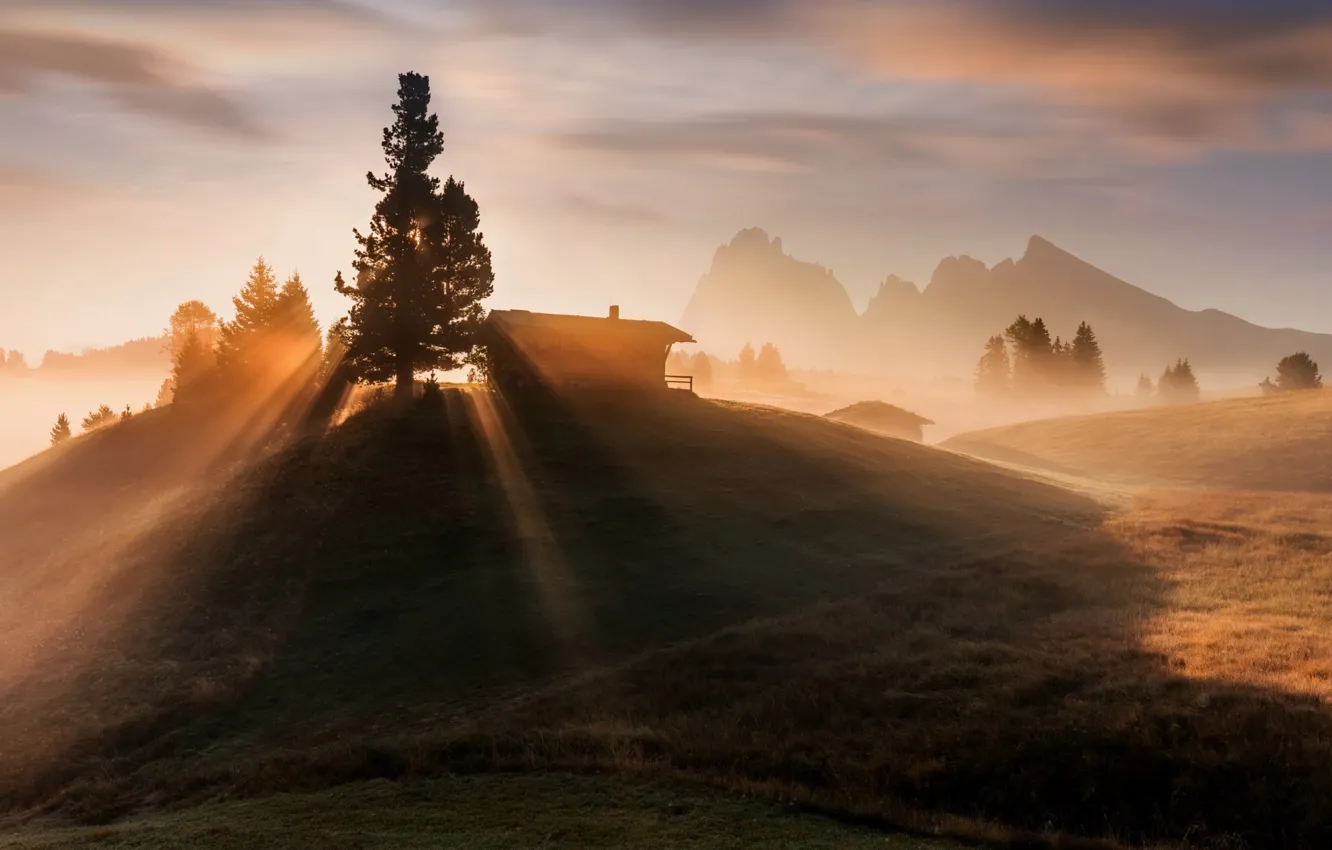 Photo wallpaper light, trees, mountains, hills, morning, house