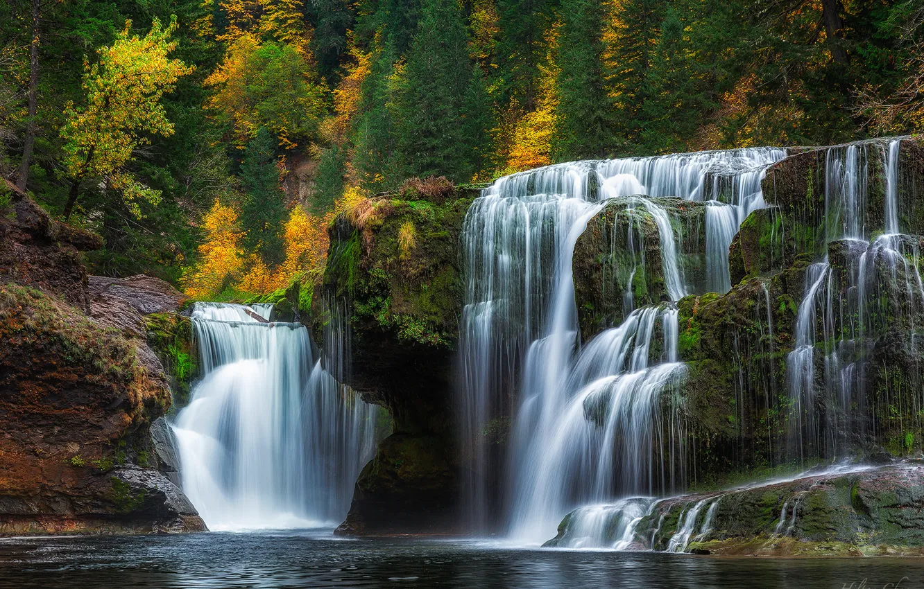 Photo wallpaper autumn, forest, waterfall, cascade, Washington, Washington, Lower Lewis River Falls, river Lewis