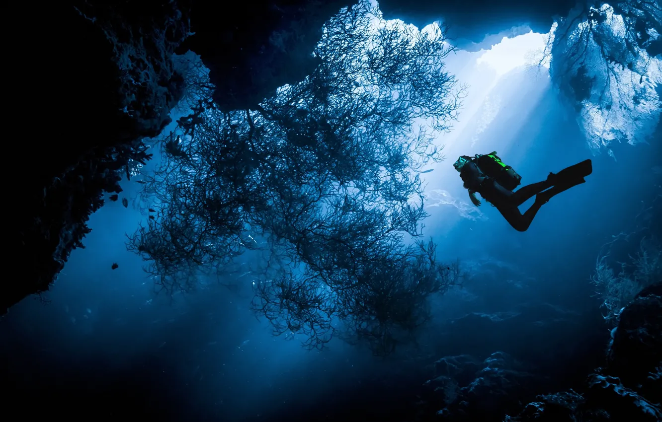 Photo wallpaper sea, water, the ocean, people, diver, under water, diving, diver
