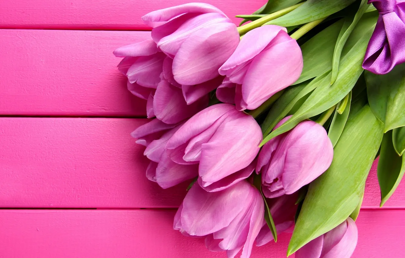 Photo wallpaper flowers, petals, tulips, pink