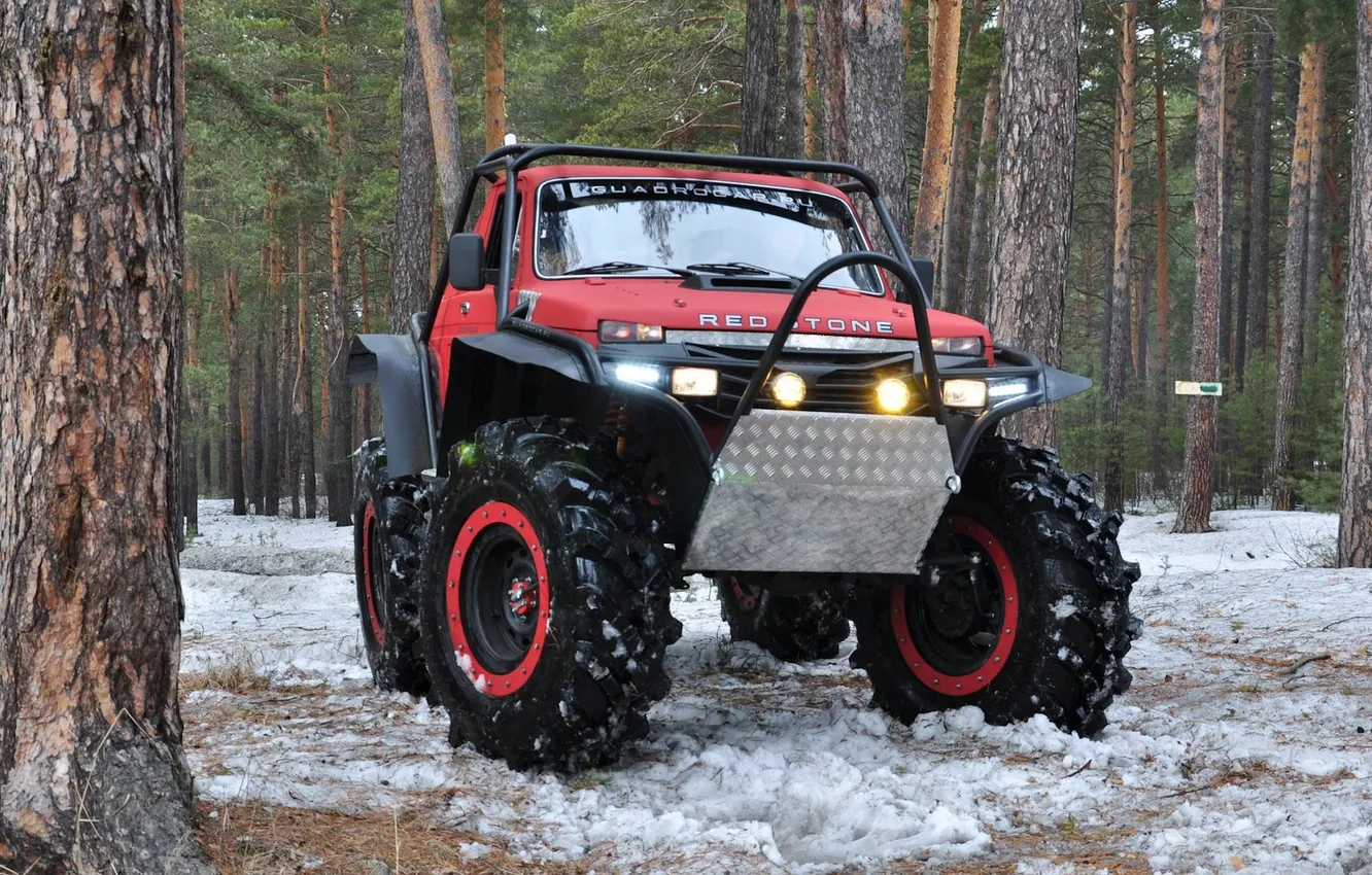 Photo wallpaper forest, snow, Rover