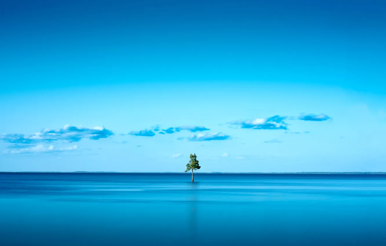 Photo wallpaper the sky, water, trees