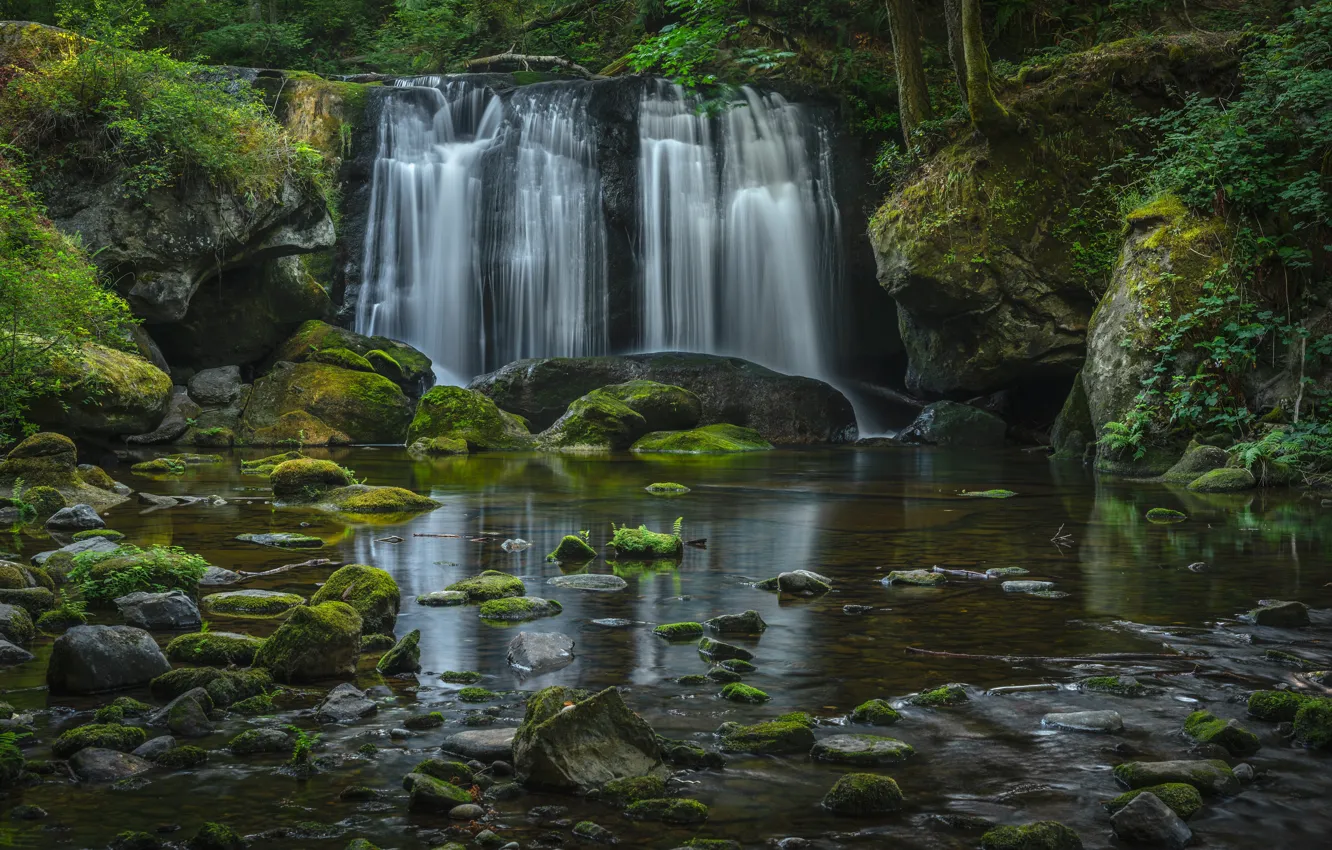 Photo wallpaper forest, reflection, stones, waterfall