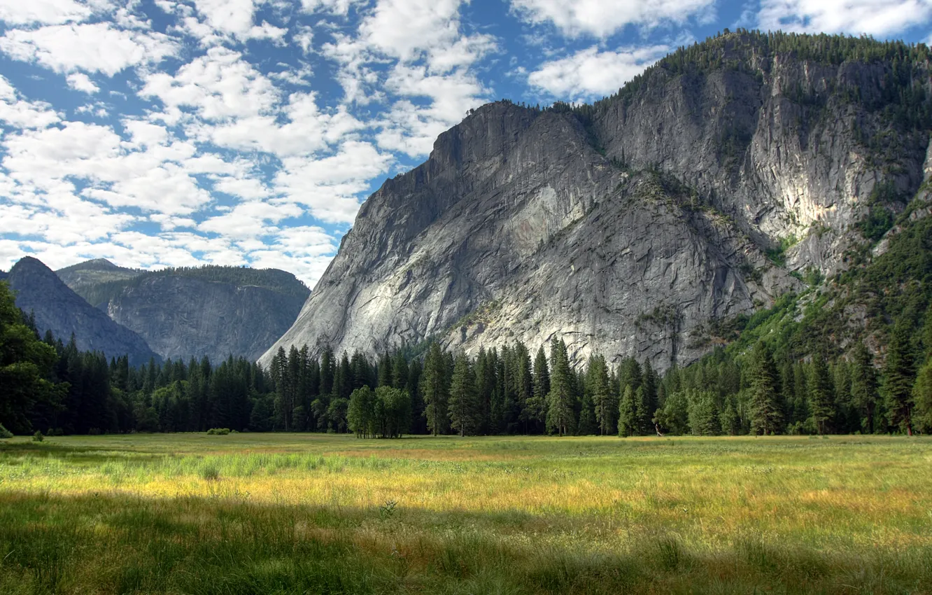 Photo wallpaper clouds, trees, mountains, rocks, green, clouds, Yosemite Meadows