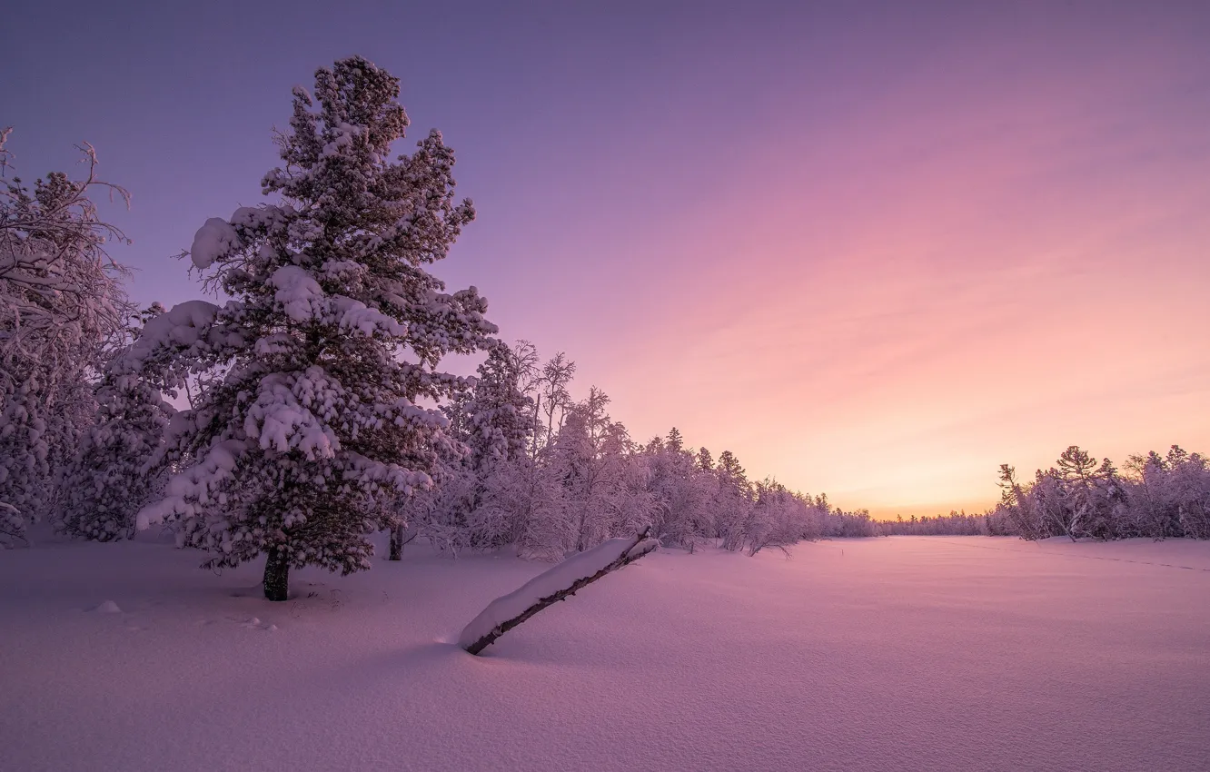 Photo wallpaper winter, snow, sunset