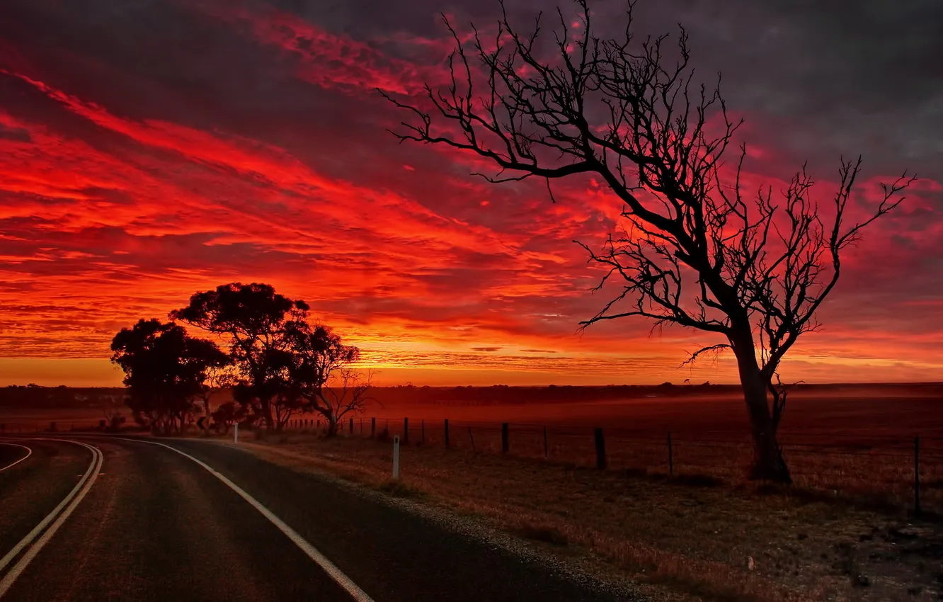 Photo wallpaper road, night, Australia, South Australia, Strathalbyn