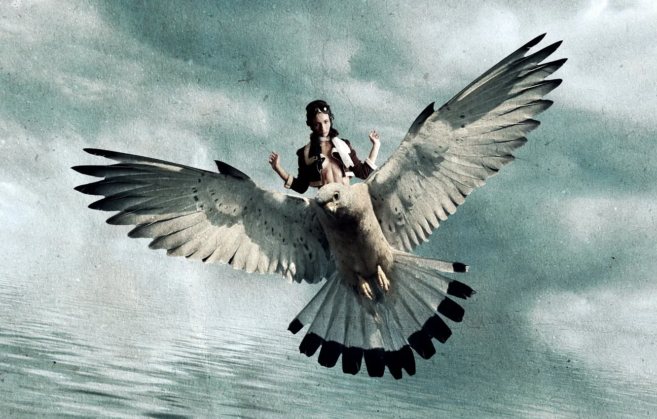 Photo wallpaper girl, style, background, bird