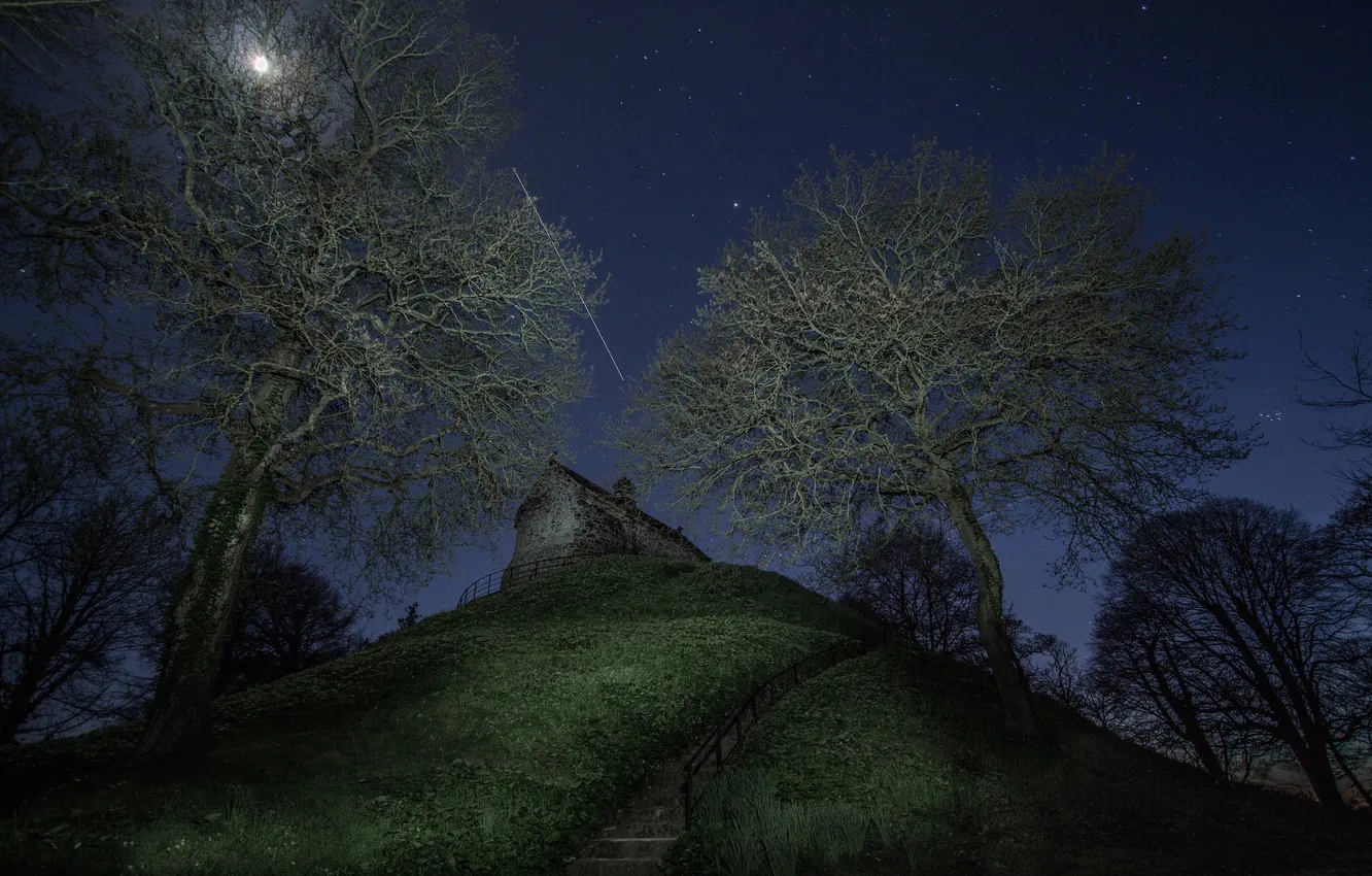 Photo wallpaper the sky, stars, trees, hills, the moon, home, slope