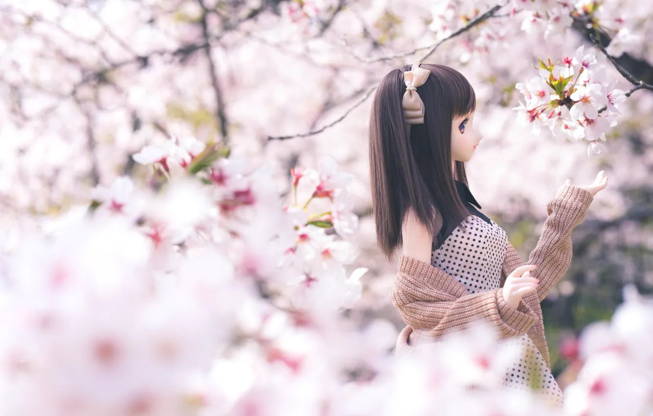 Photo wallpaper girl, doll, Sakura