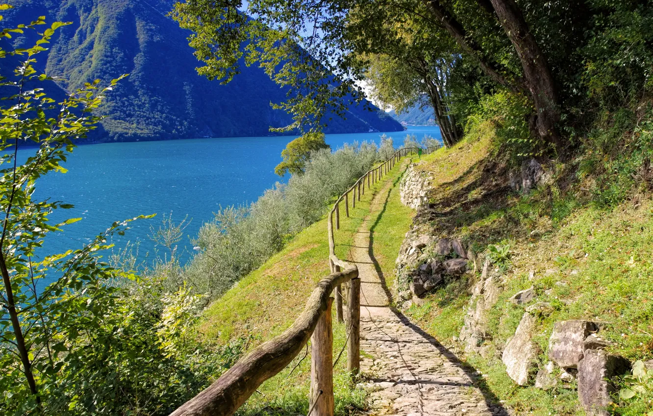 Photo wallpaper road, trees, mountains, lake, Switzerland, Lugano