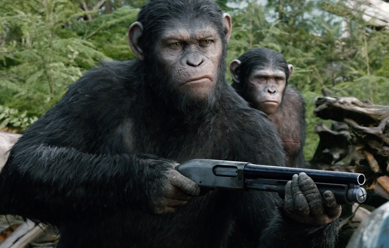Photo wallpaper weapons, shotgun, Caesar, Revolution, Dawn of the Planet of the Apes, Planet of the apes, …