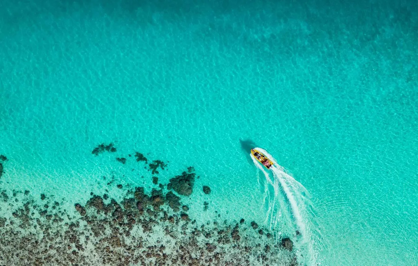 Photo wallpaper the ocean, boat, the, coral reef