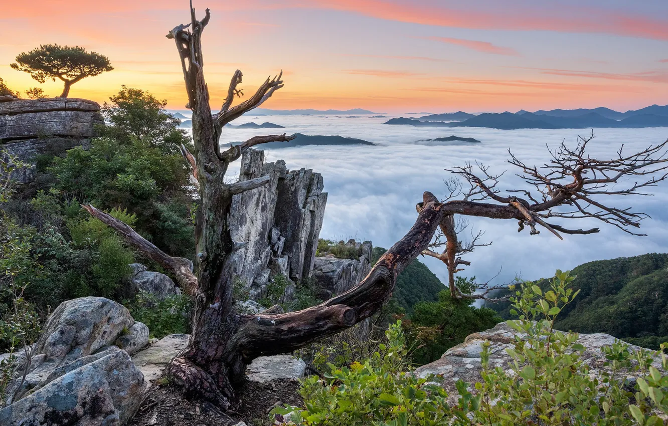 Photo wallpaper sunset, mountains, nature