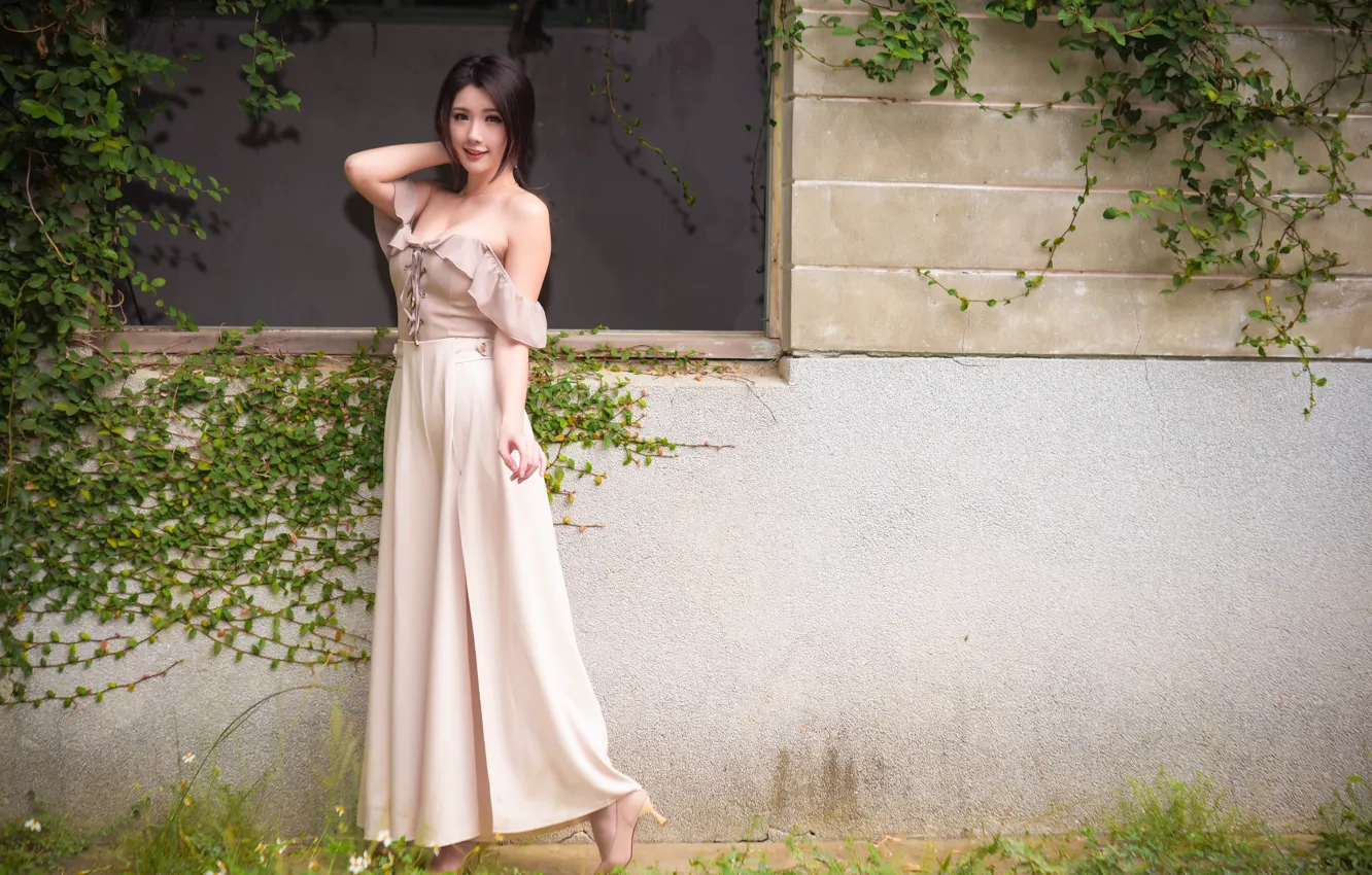 Photo wallpaper look, dress, Asian