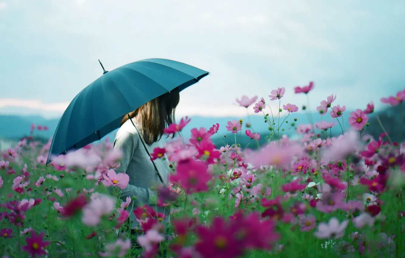 Photo wallpaper girl, flowers, umbrella