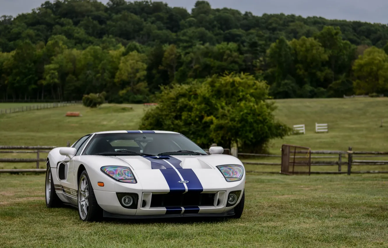 Photo wallpaper Ford, Blue, White, Stripes