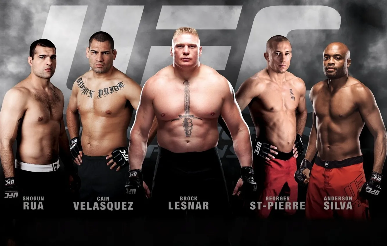 Photo wallpaper fighters, mma, Champions, ufc, mixed martial arts, mauricio rua, georges st-pierre, brock lesnar