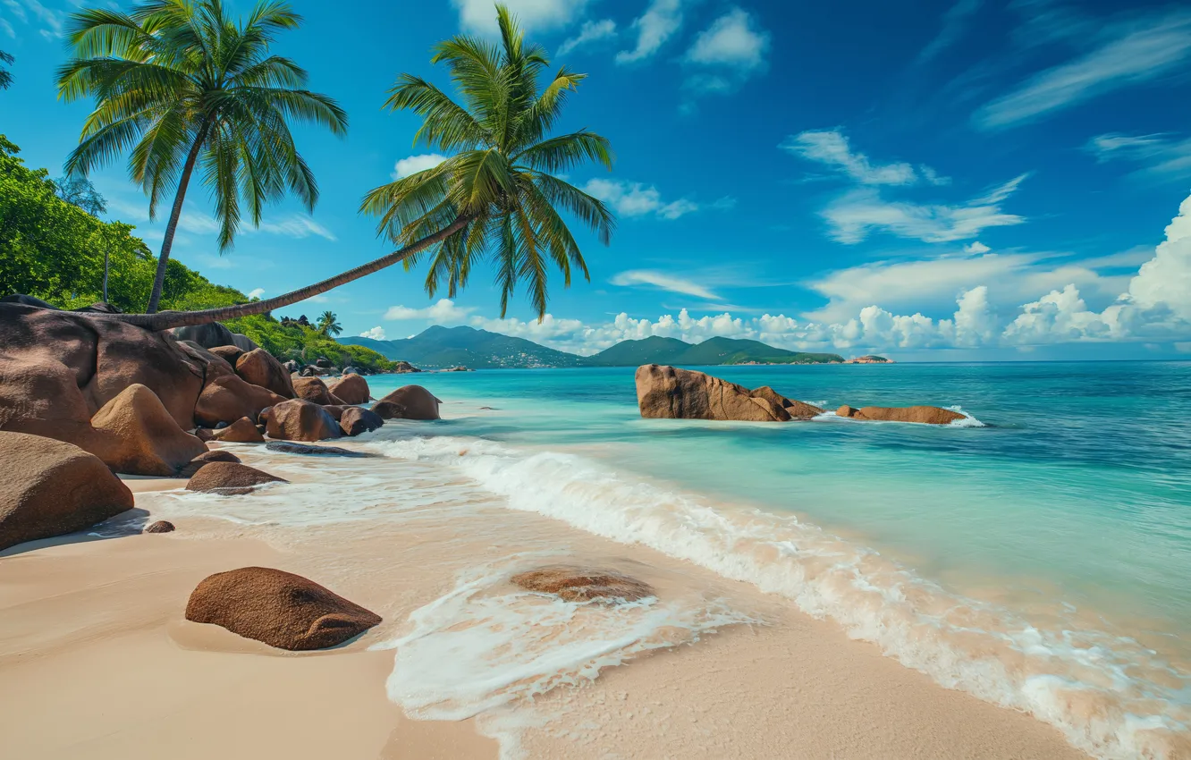 Photo wallpaper beach, rocks, sand, palm trees