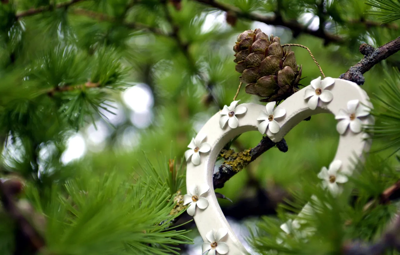 Photo wallpaper branches, nature, heart, bump, needles