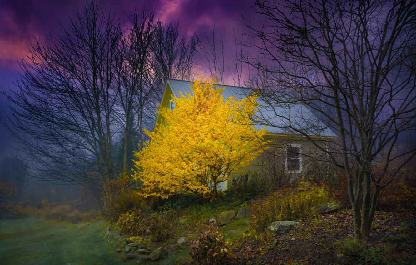 Photo wallpaper the storm, autumn, trees, landscape, nature, house, USA, the bushes