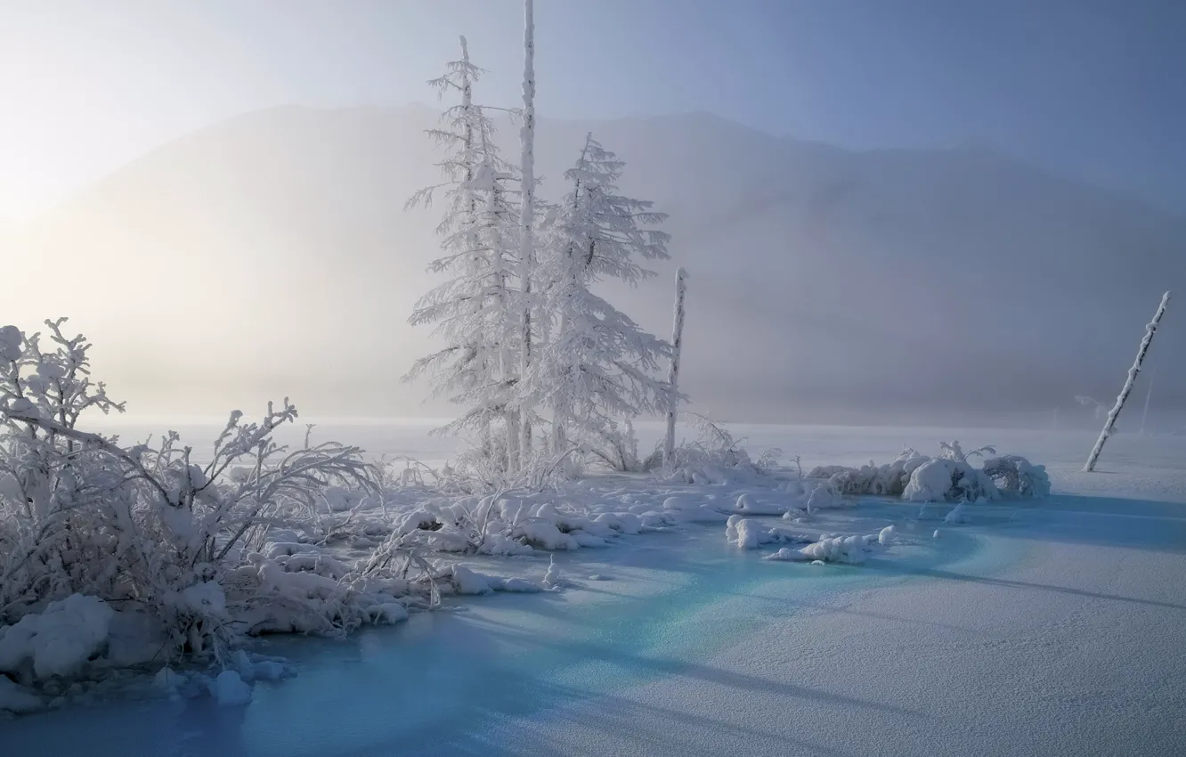 Photo wallpaper winter, snow, landscape, nature, fog, Yakutia, Vladimir Ryabkov