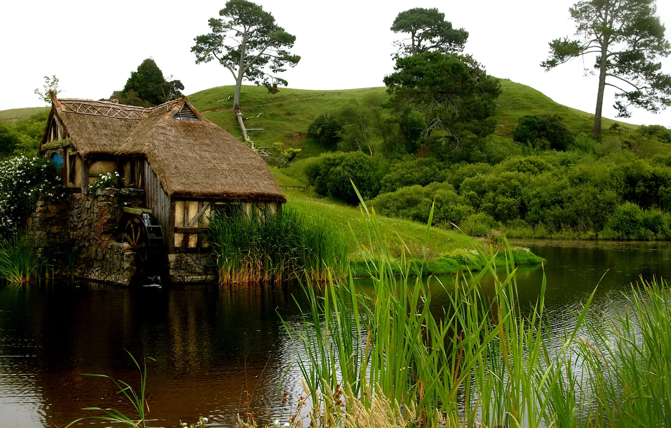 Photo wallpaper grass, water, flowers, house, pond, hills, mill