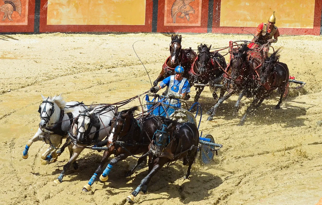 Photo wallpaper horse, race, horse, chariot, arena