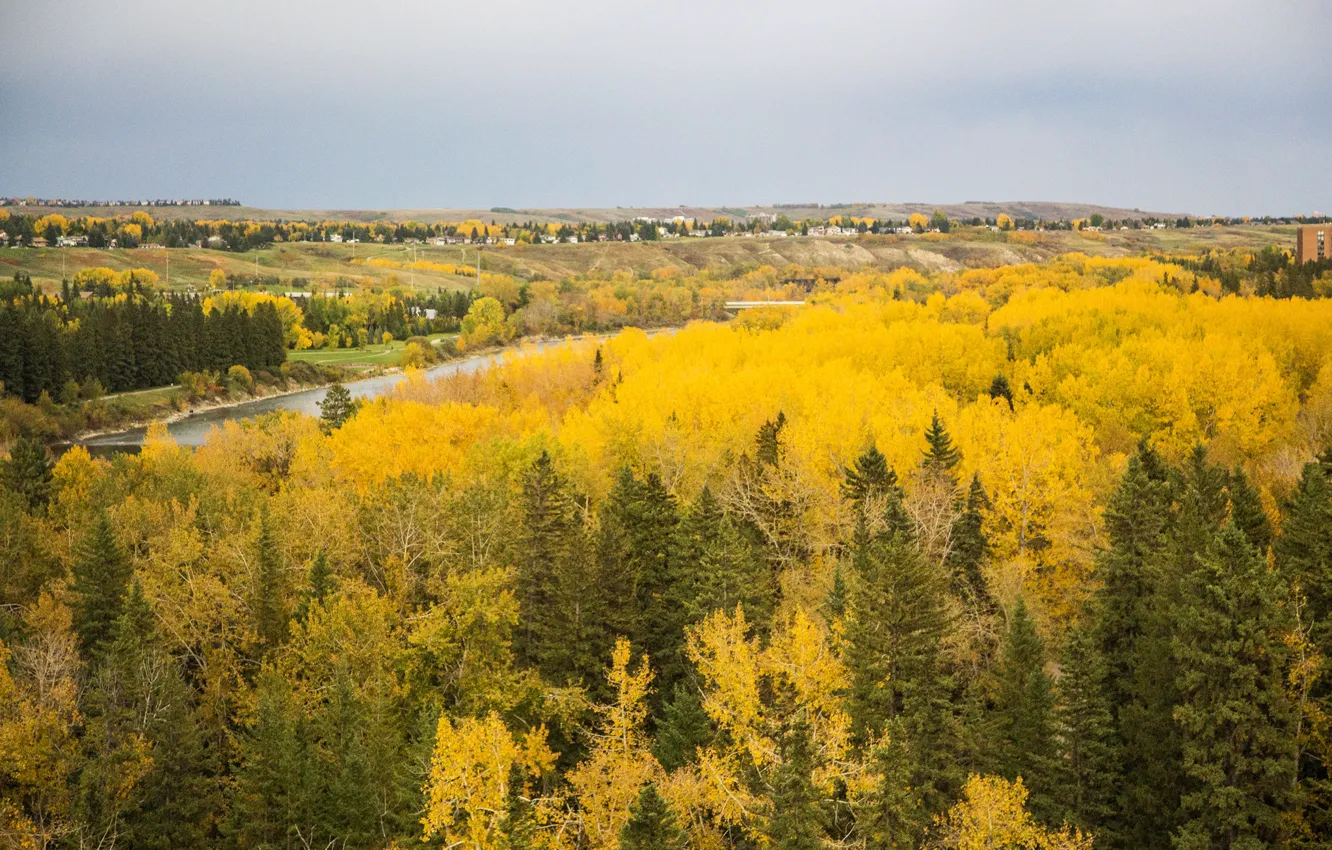 Photo wallpaper autumn, forest, trees, river, field, yellow, Canada, houses