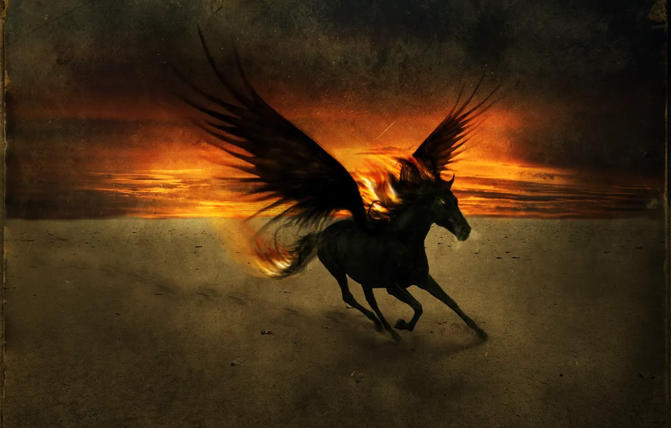 Photo wallpaper sunset, horse, wings