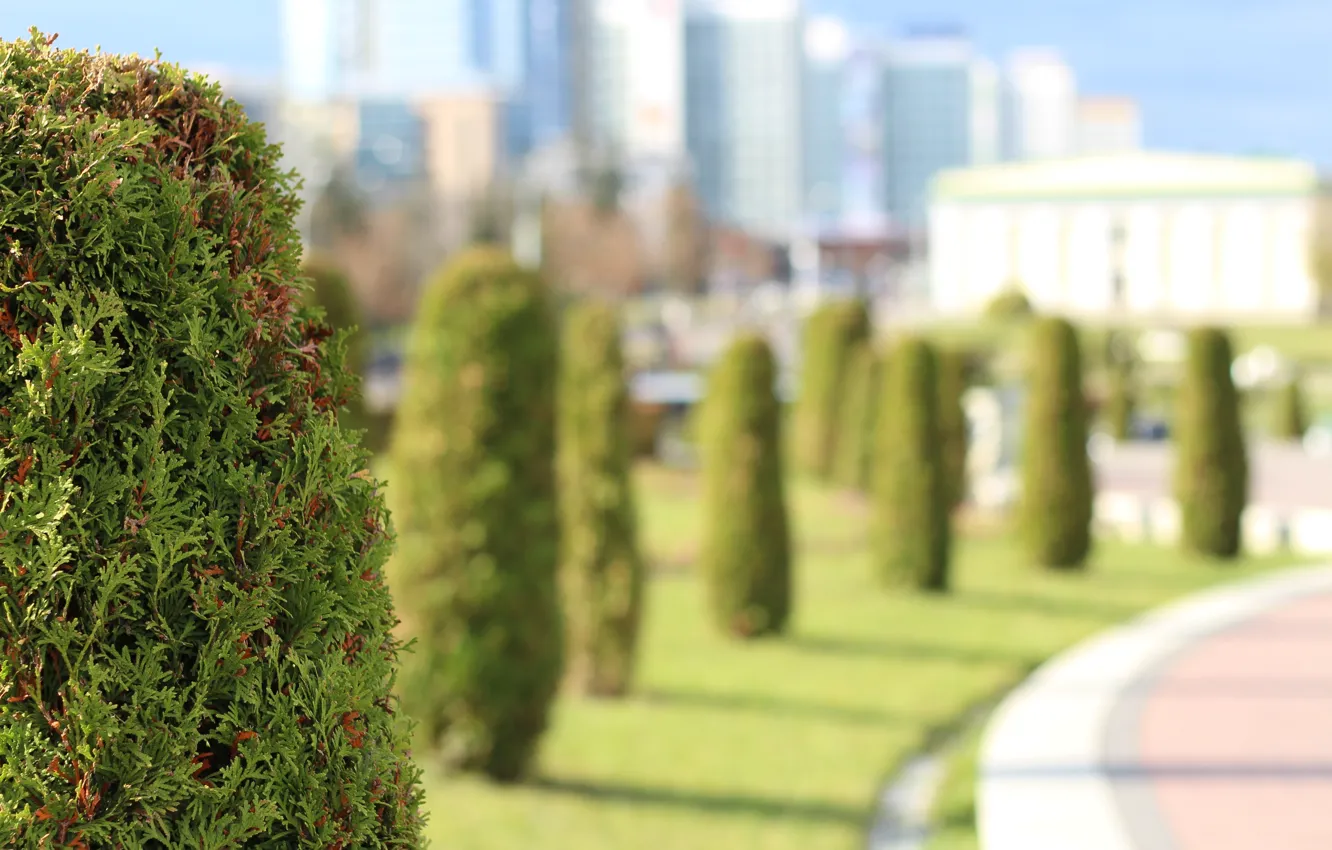 Photo wallpaper summer, Minsk, Liberty square, Nemiga