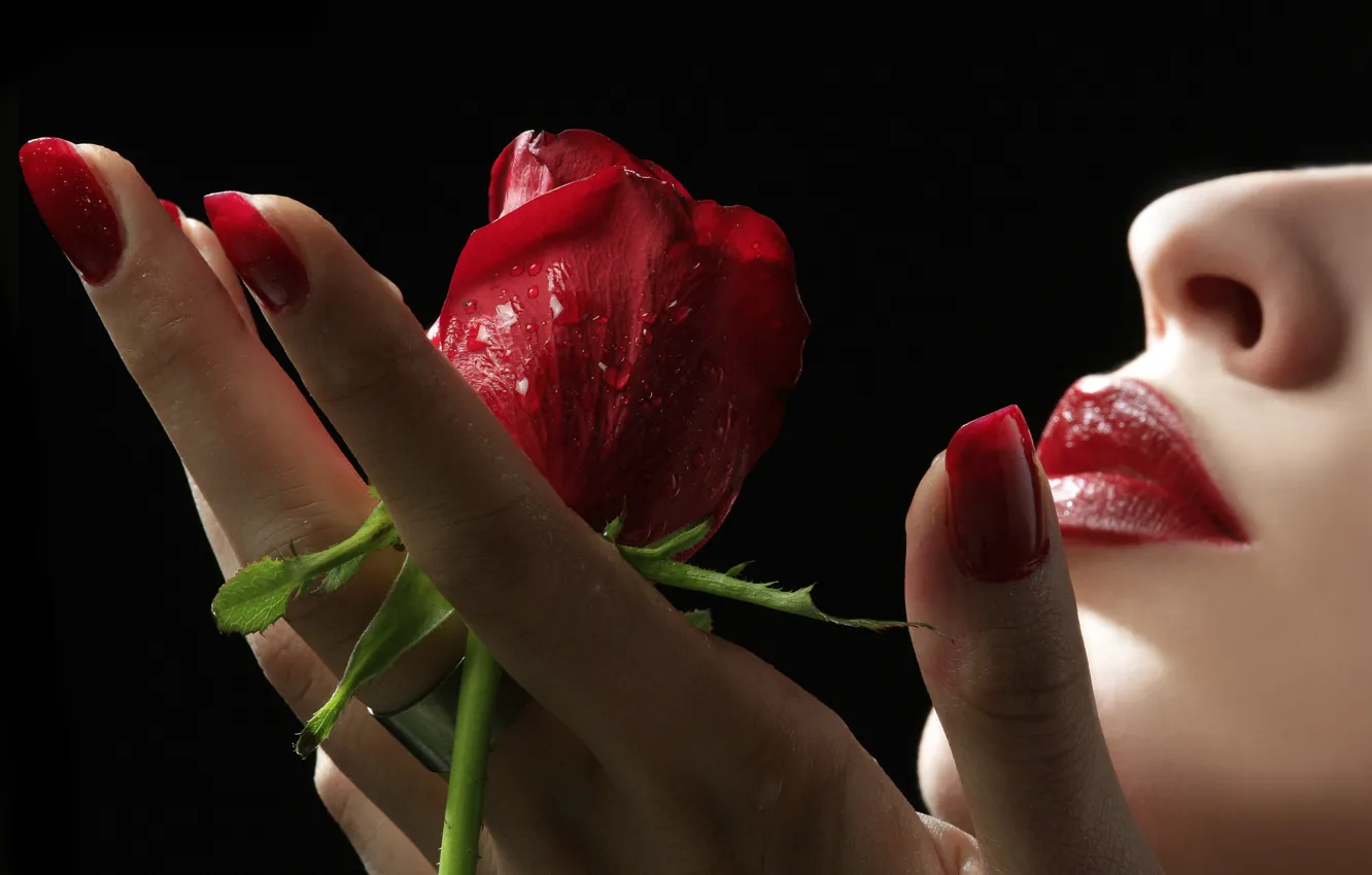 Photo wallpaper rose, hand, lips, nails