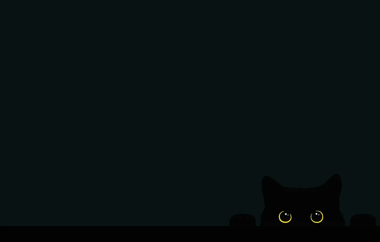 Photo wallpaper cat, eyes, minimalism, muzzle, black cat, minimalism, eyes, cat