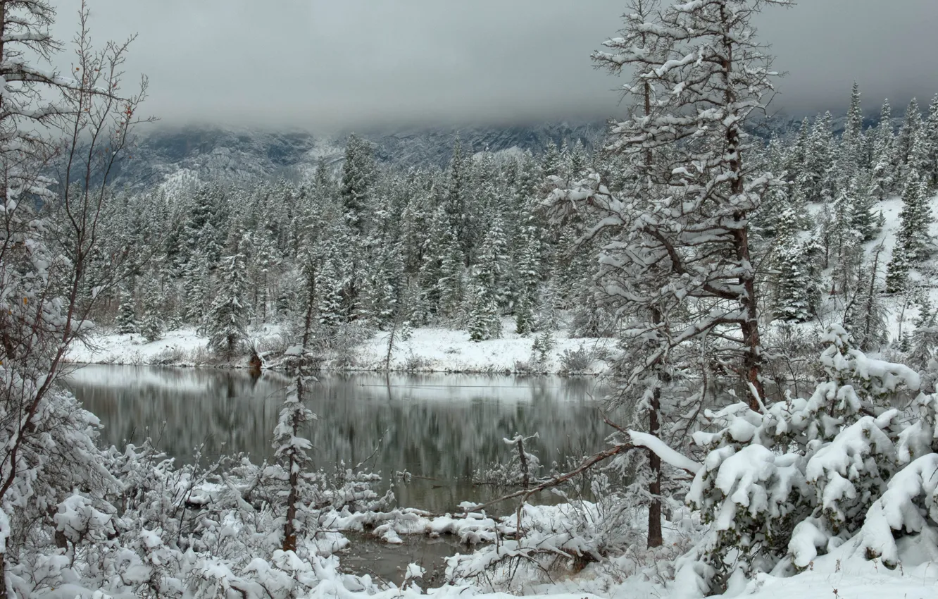Photo wallpaper winter, forest, clouds, snow, mountains, lake