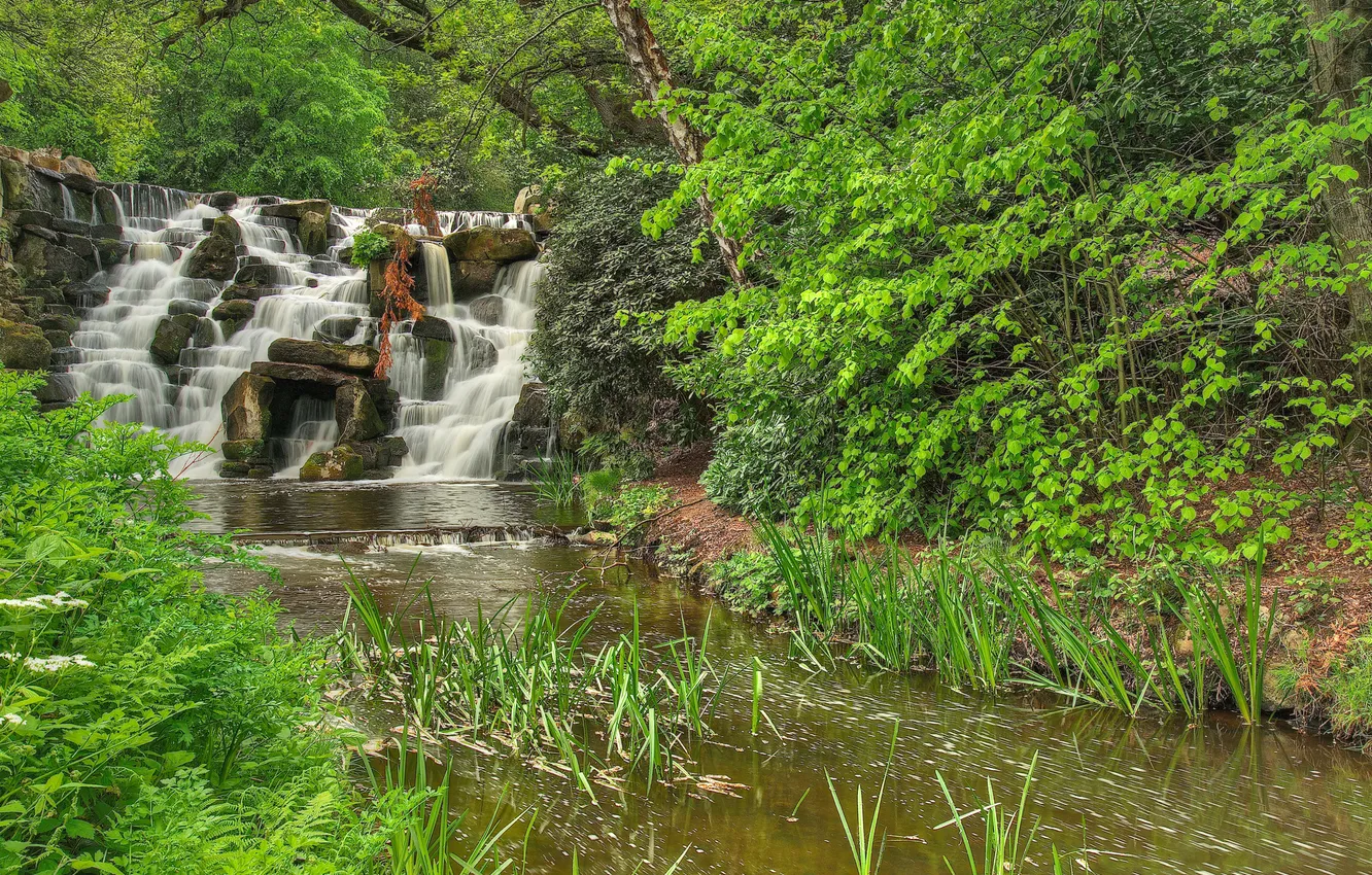 Photo wallpaper forest, trees, river, stones, waterfall