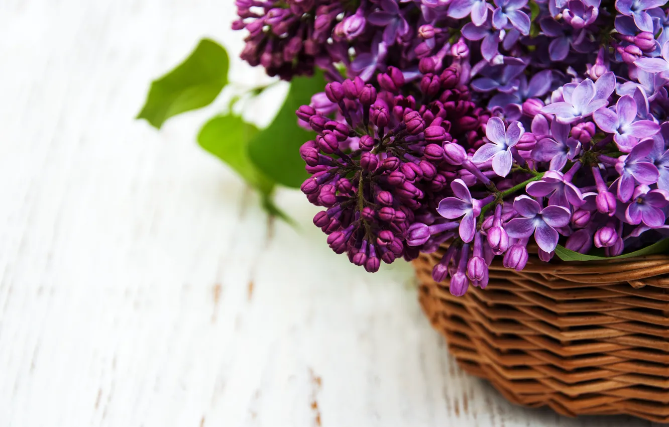 Photo wallpaper white, flowers, background, basket, lilac, lilac
