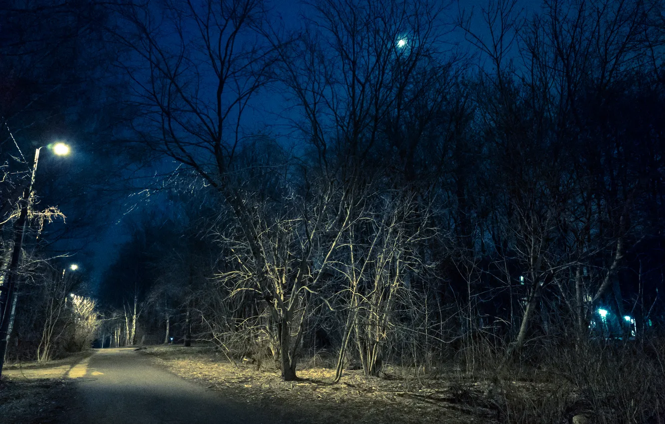 Photo wallpaper forest, the sky, trees, night, the moon, spring, lights, Russia