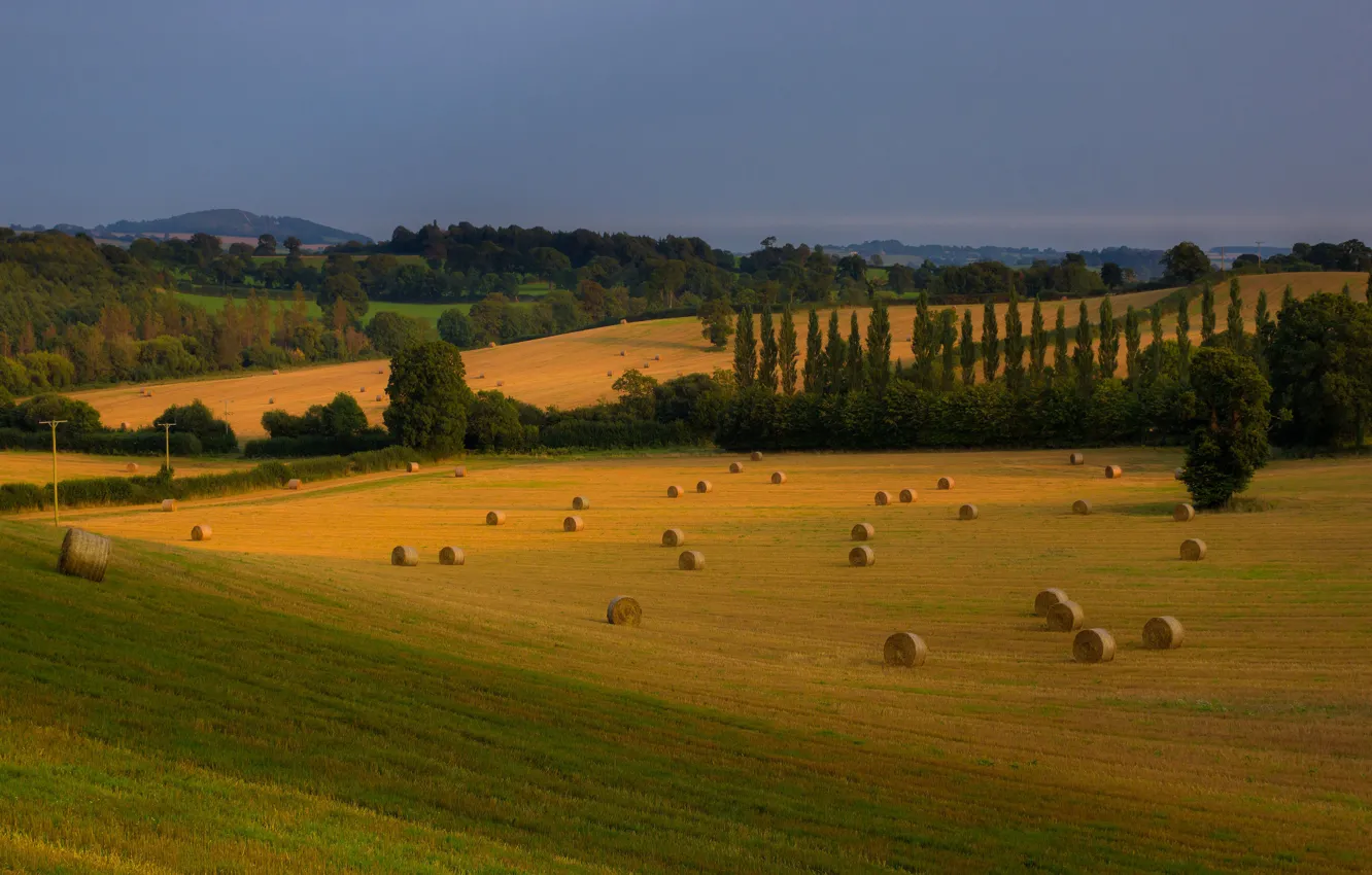 Photo wallpaper field, the sky, hay, bales, Kip, for