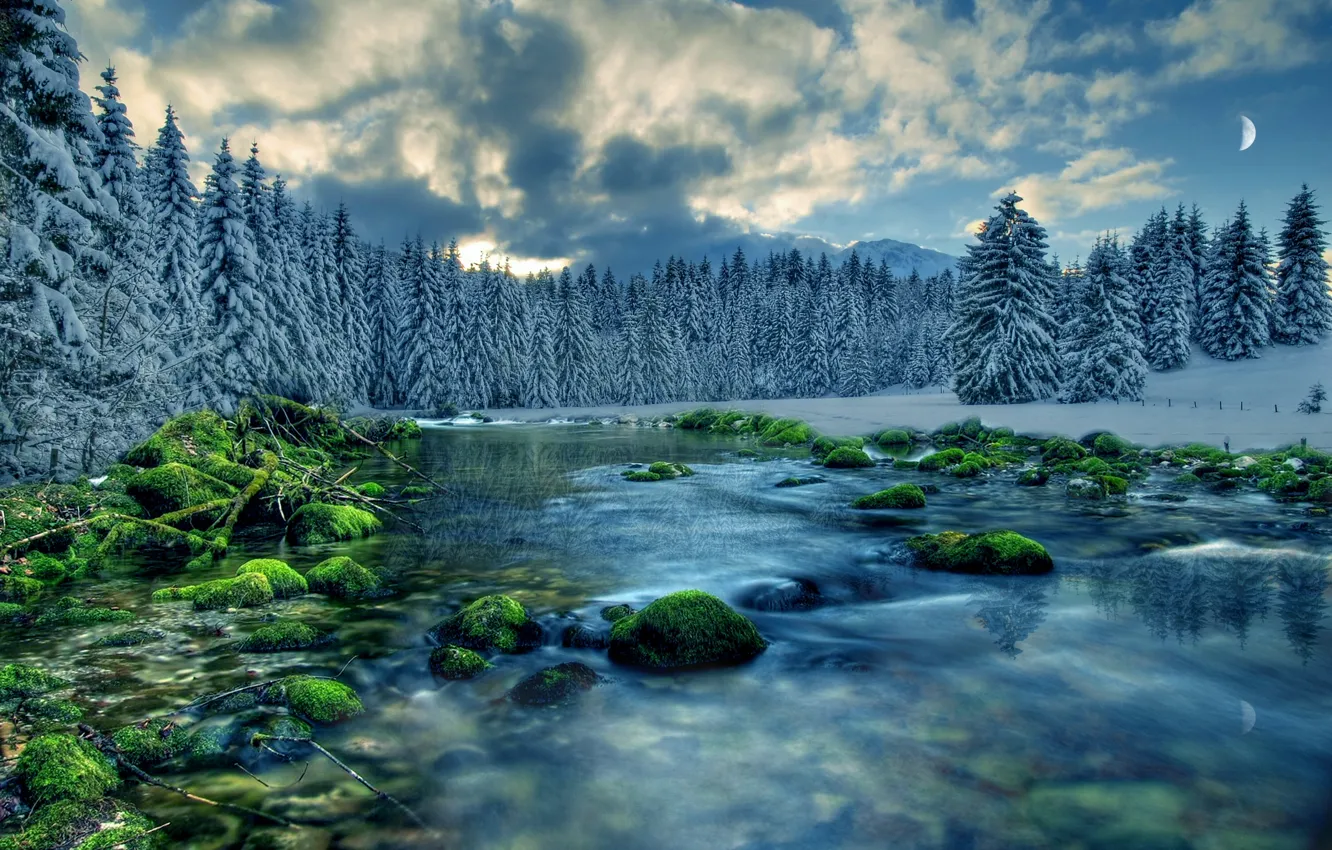 Photo wallpaper forest, the sky, clouds, snow, trees, river, stones, the moon